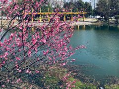 -安徽工业大学(秀山校区)