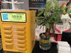 -滇铺子·云南特色菜·第九届野生菌美食节(东风东路c86店)