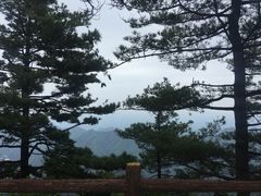 -秦岭天竺山景区