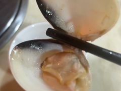 -顺德哥卜卜贝(旗舰店)