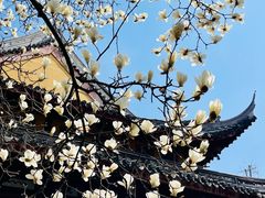 -龙华寺