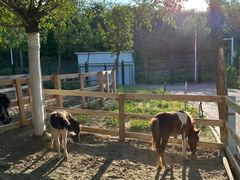 -水上乐园·欢乐世界