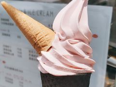 蜜桃小姐姐-麦丽丝红油辣椒冰淇淋(江家巷店)