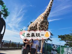 -西霞口神雕山野生动物世界