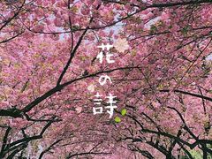 -西安理工大学(金花校区)