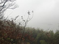 -天目湖涵田半山温泉