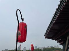 -隋唐洛阳城明堂天堂景区