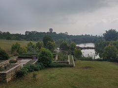 -张坝桂圆林公园