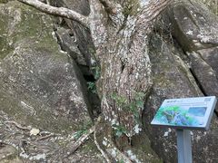 -七娘山