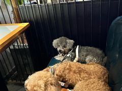 -雾都渣渣火锅(南城智汇城店)
