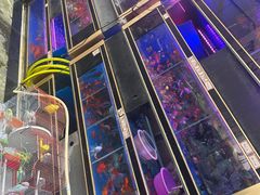 -金田水族花卉市场(银庄大厦店)