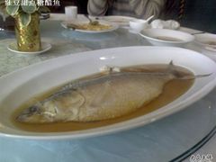 清蒸鲥鱼-福1039(愚园路店)