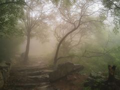 -阳台山自然风景区