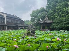 -乌镇望津里精品酒店