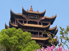 -黄鹤楼公园(黄鹤楼)