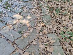 -杭州植物园