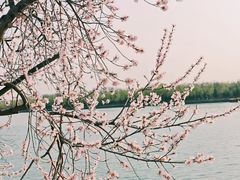 -颐和园