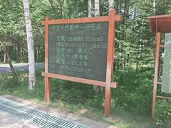 -汤旺河林海奇石景区