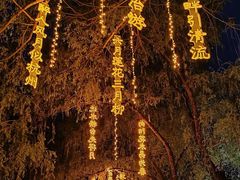-万泉公园