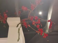 -春天来了(印象新天地店)