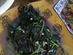 -菜当家