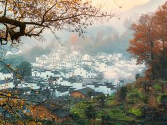 -塔川景区