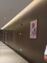 -深圳米兰柏羽医疗美容医院