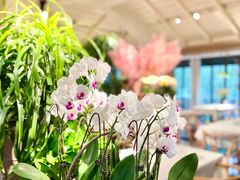 -春暖花开(西溪店)