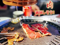 -卜奎烤右