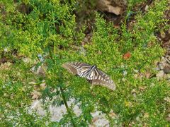 -大连金龙寺国家森林公园-售票处