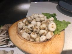 珍珠马蹄-百年果林椰子鸡(中洲店)