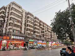 -半饱台式茶点