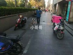 -申普宠物医院·眼科·心内科·影像科(普陀分院)