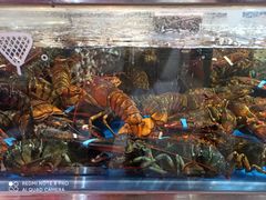 -盒马X会员店(王府井奥莱UP TOWN店)