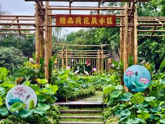 -广州莲花山旅游区