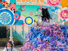 -郑州银基国际旅游度假区
