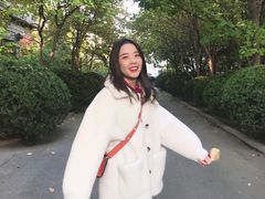 -三里屯东五街银杏大道