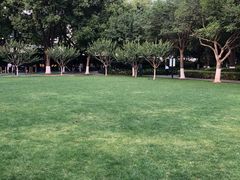 -常州古运河南大街文化旅游区-人民公园