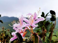 -广东天露山旅游度假区