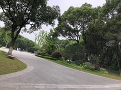 -昆山城市生态森林公园