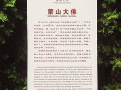 -蒙山大佛景区