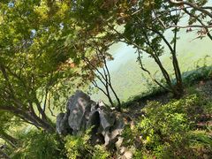 -长广溪湿地公园