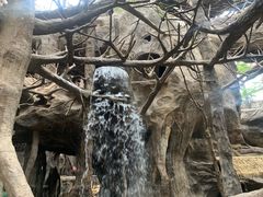 -长鹿旅游休博园