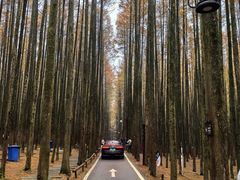 -山王坪喀斯特国家生态公园