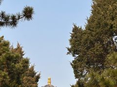 -青岛湛山寺