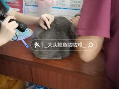 -宠颐生猫科·内科皮肤科(西平世纪城店)