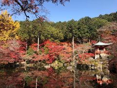 -醍醐寺