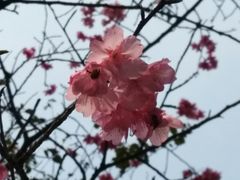 -乌山风景区