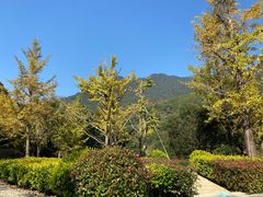-逸廊大堂吧-下午茶·简餐-千岛湖自由洲际殿