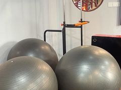 -温鉴良实用咏春拳